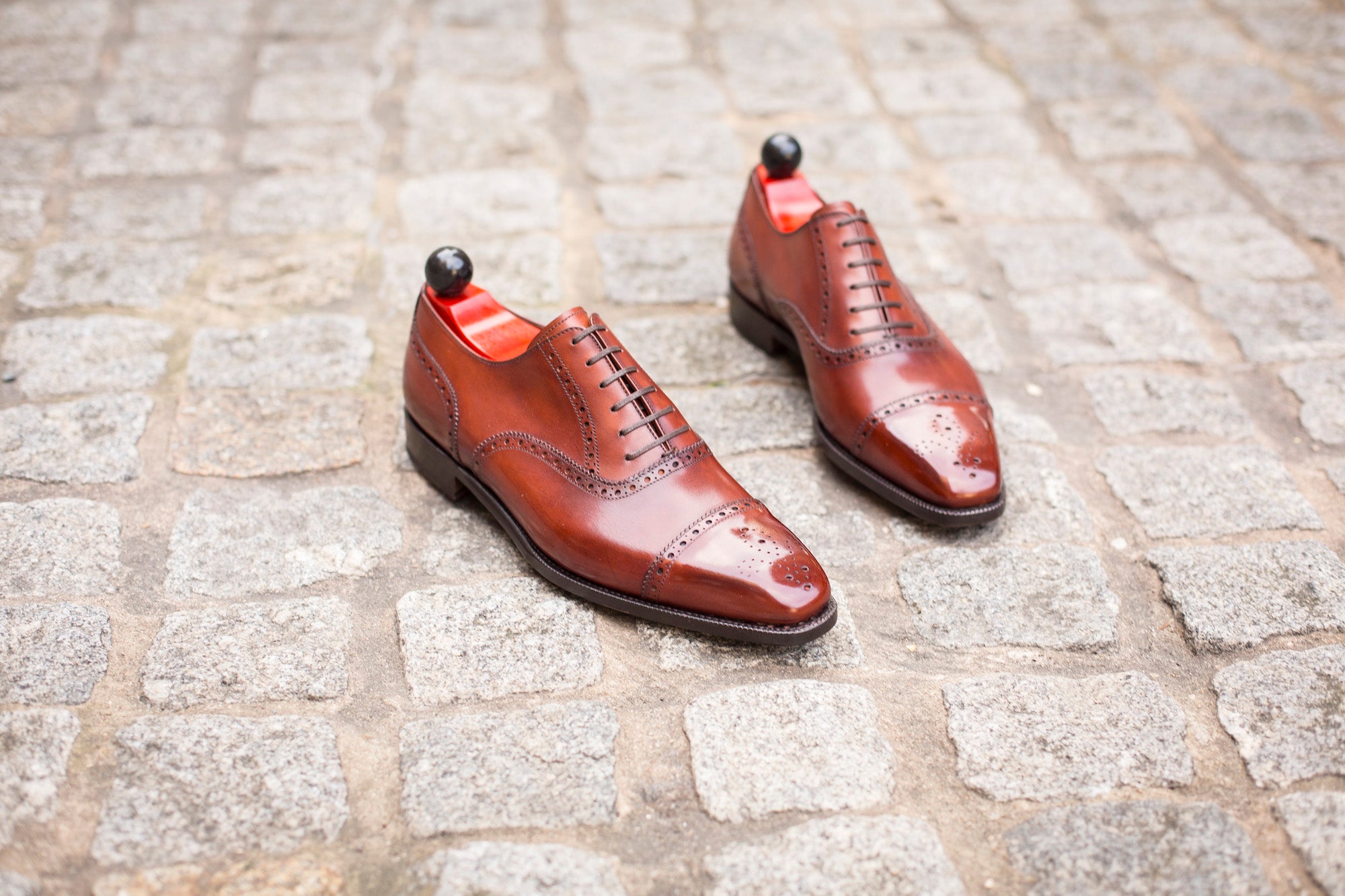 Windermere - MTO - Auburn Calf - MGF Last - Single Leather Sole-Made To Order Captoe Cap Toe Medallion Brogue Oxfords-J.FitzPatrick Footwear