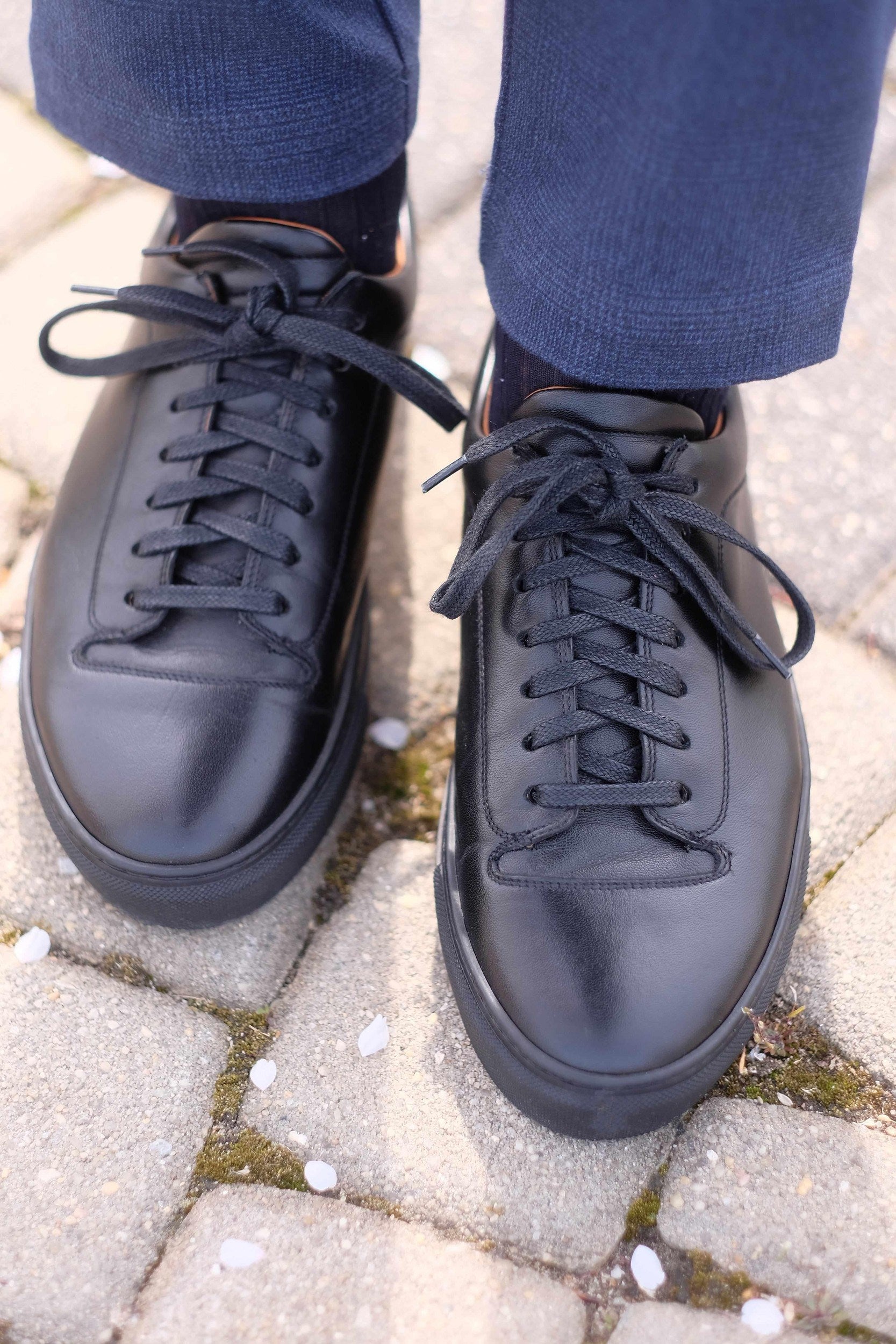 Olympia - Black Calf / Black Sole-Plimsoll Lace Up Laceup Sneakers-J.FitzPatrick Footwear