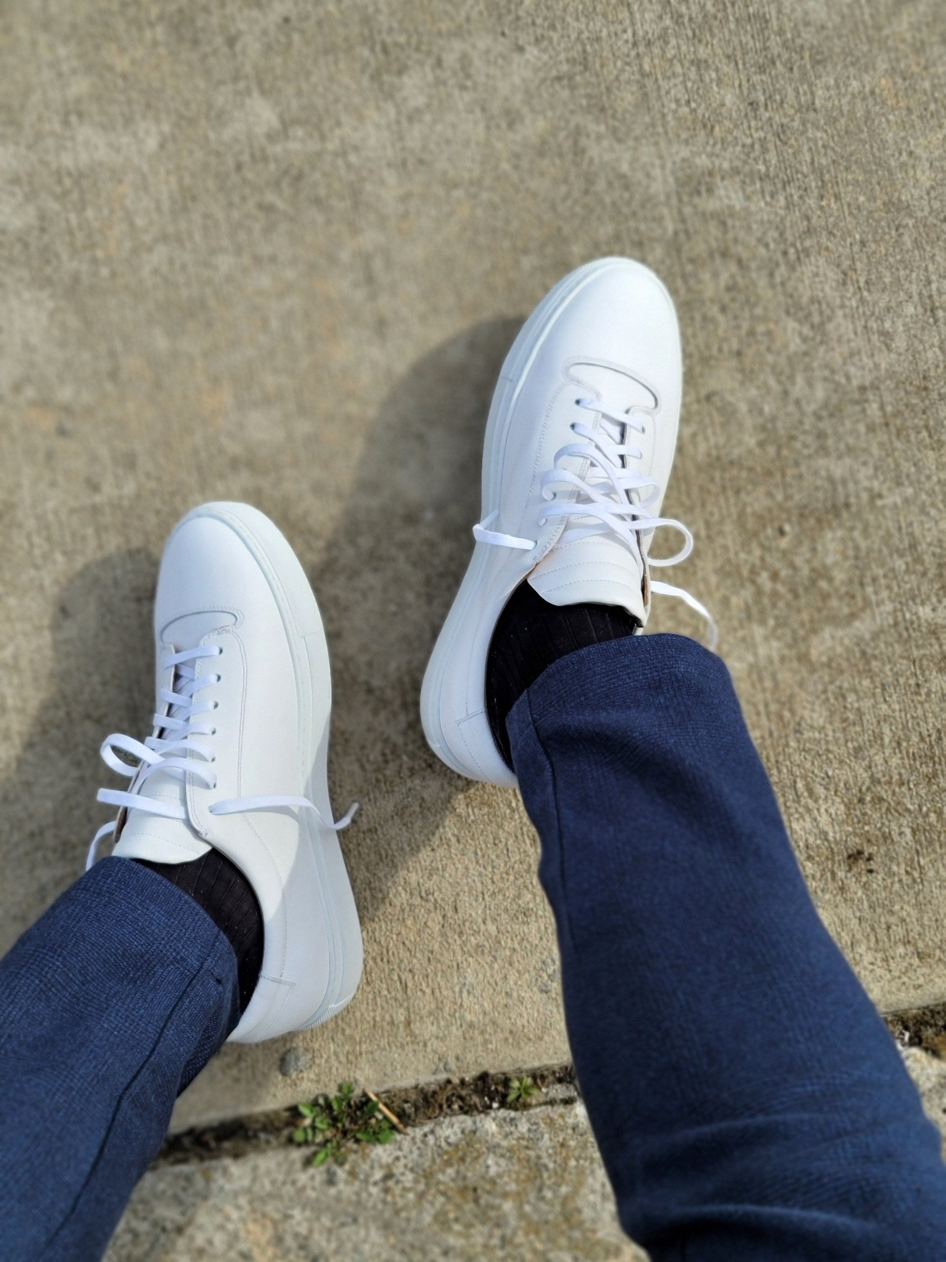 Olympia - White Calf / White Sole-Plimsoll Lace Up Laceup Sneakers-J.FitzPatrick Footwear