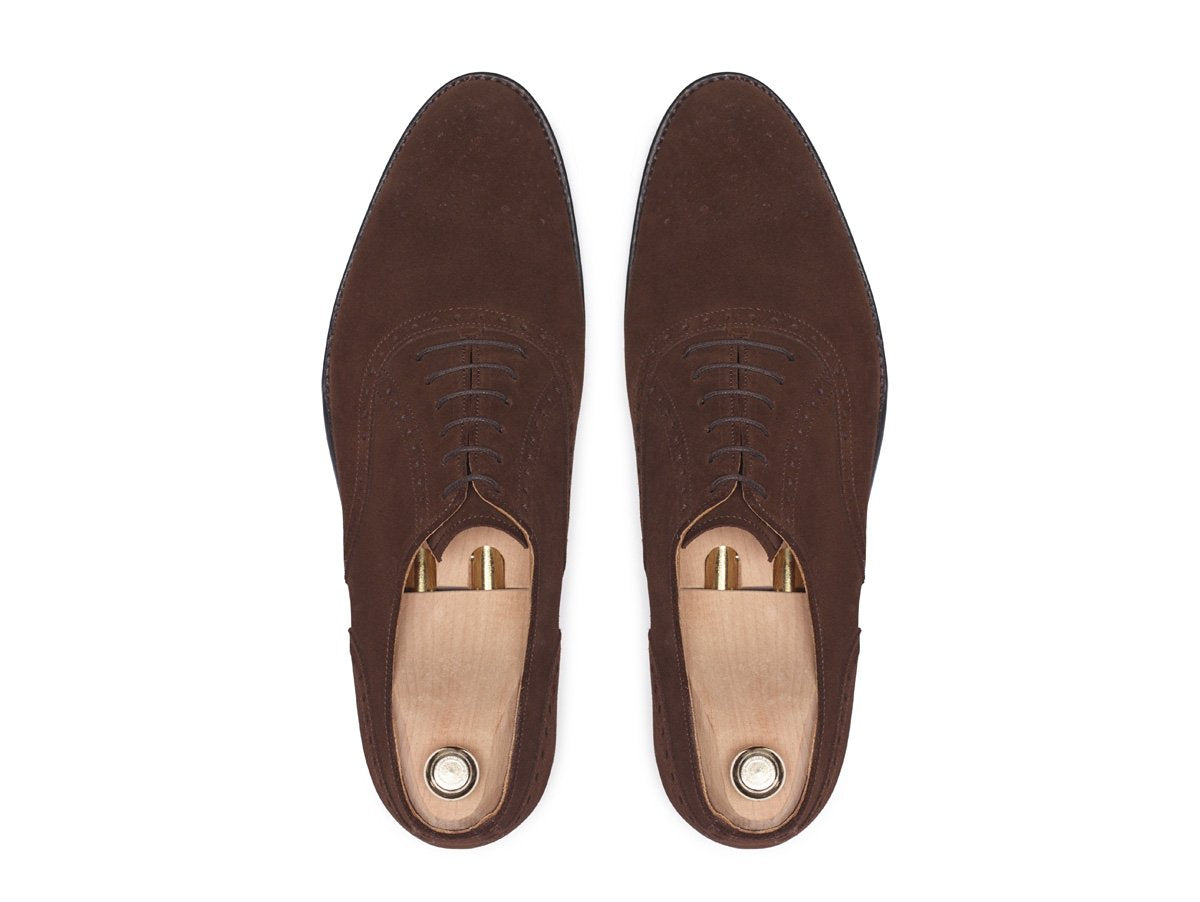 Wallingford - MTO - Dark Brown Suede Suede - TMG Last - Single Leather Sole-Made To Order Medallion Brogue Oxfords-J.FitzPatrick Footwear